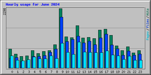 Hourly usage for June 2024