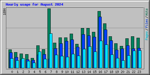 Hourly usage for August 2024