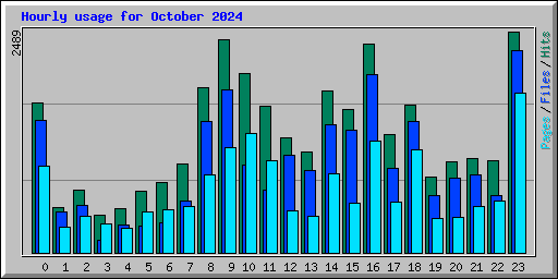 Hourly usage for October 2024