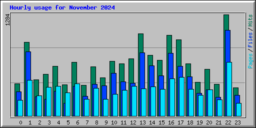 Hourly usage for November 2024