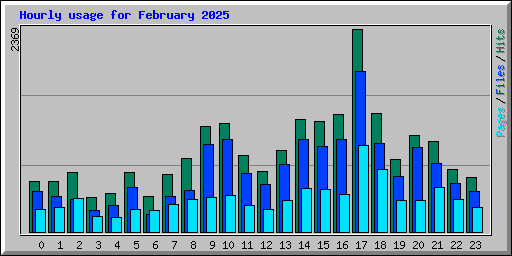 Hourly usage for February 2025