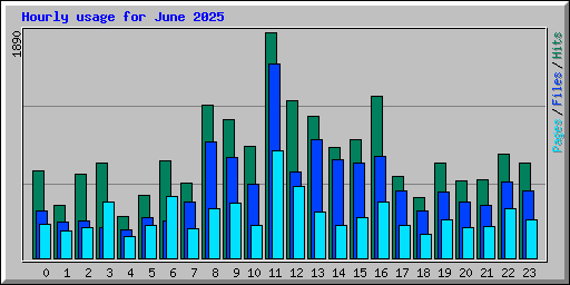 Hourly usage for June 2025