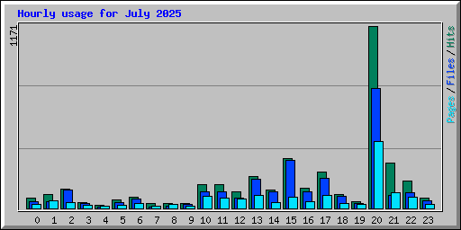 Hourly usage for July 2025