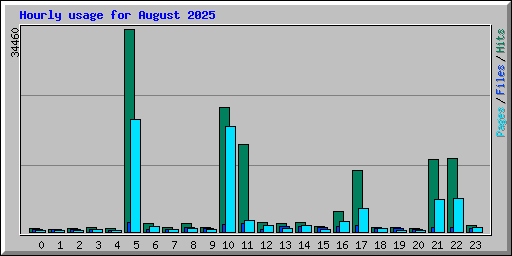 Hourly usage for August 2025