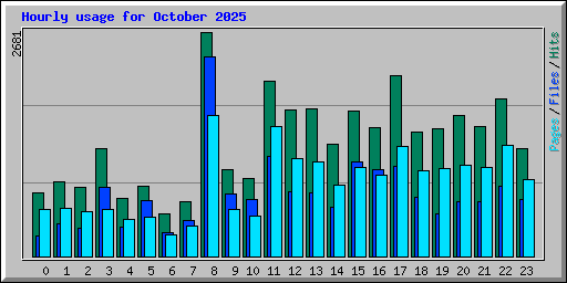 Hourly usage for October 2025