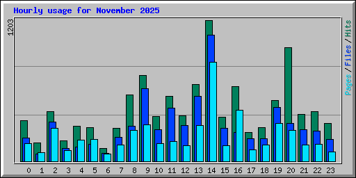 Hourly usage for November 2025