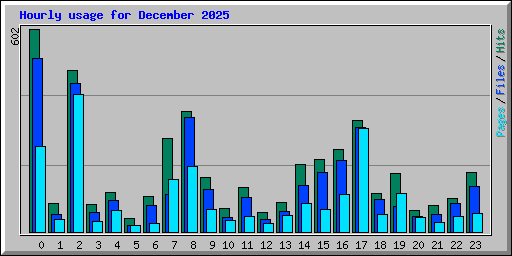 Hourly usage for December 2025
