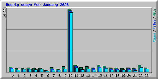 Hourly usage for January 2026