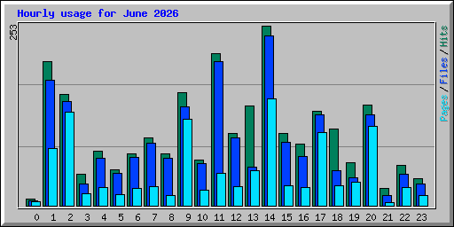 Hourly usage for June 2026