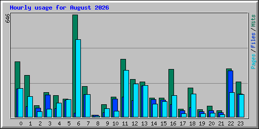 Hourly usage for August 2026